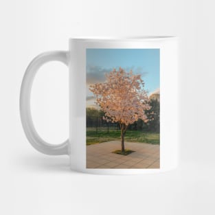 Cherry Blossom 7 Mug